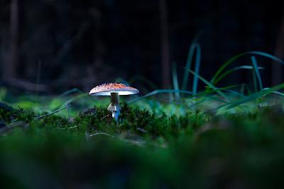 外汇期货股票比特币交易