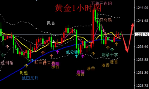 外汇期货股票比特币交易