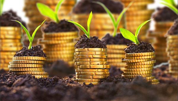 外汇期货股票比特币交易