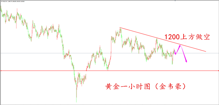 外汇期货股票比特币交易