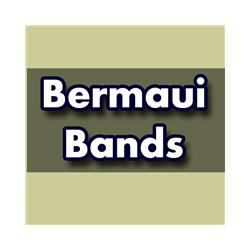 在MetaTrader市场购买MetaTrader 4的'Bermaui Bands' 技术指标