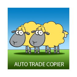 在MetaTrader市场购买MetaTrader 4的'Auto Trade Copier' 交易工具