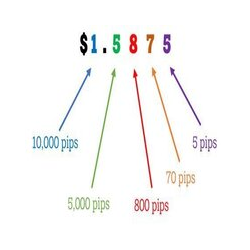 在MetaTrader市场购买MetaTrader 4的'Pips Collector Robot' 自动交易程序（EA交易）