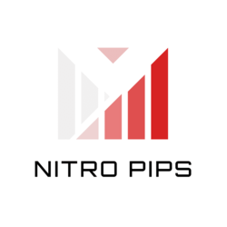 在MetaTrader市场购买MetaTrader 4的'Nitro Pips EA' 自动交易程序（EA交易）