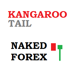 在MetaTrader市场购买MetaTrader 4的'Naked Forex Kangaroo Tail' 技术指标