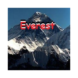 在MetaTrader市场购买MetaTrader 5的'Everest pro' 技术指标