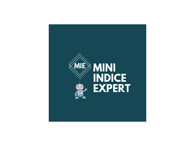 在MetaTrader市场购买MetaTrader 5的'Mini Indice Expert Bovespa b3' 自动交易程序（EA交易）