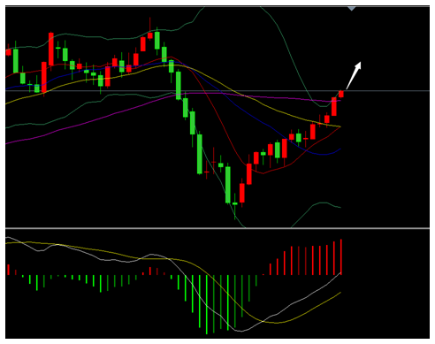 外汇期货股票比特币交易