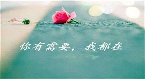 QQ图片20180503204000.jpg