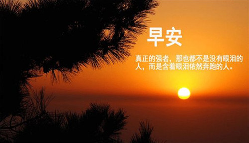 blog_attach_15348936231821_副本.jpg