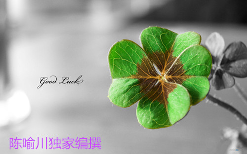 12248565_1341564891491_800<em></em>x600_副本.jpg