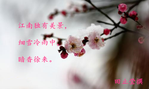 大雪.jpg