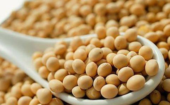 巴西大豆播种量暴涨!中国进口量骤减“蹂躏”豆价 日本趁机“捡漏”? 巴西大豆播种量暴涨!中国进口量骤减“蹂躏”豆价 日本趁机“捡漏”?