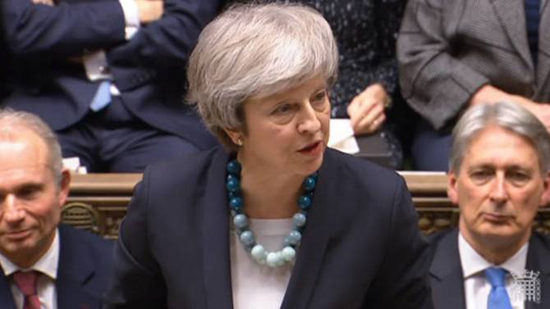 1546518598208817.jpg 特蕾莎1梅.jpg