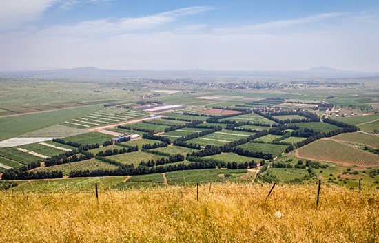 1553241069856891.jpg 戈兰高地2.jpg