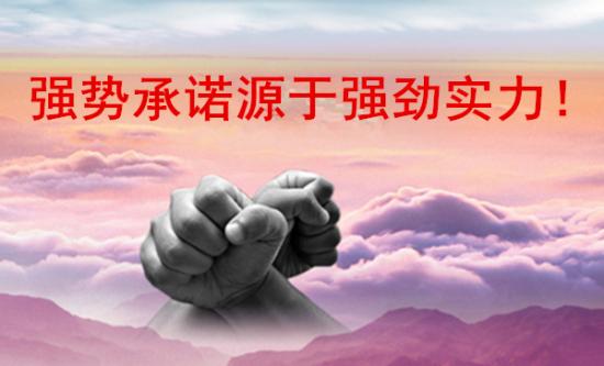 实力图片.png