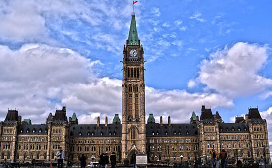 1557042894566359.jpg (96).jpg