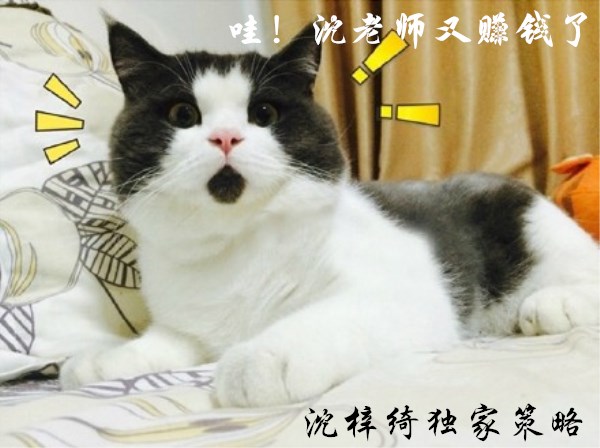 5a62e784e13eb_副本.jpg