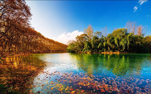 a4964394950fad7cc568c4a5a7dcb87f.jpg a4964394950fad7cc568c4a5a7dcb87f.jpg