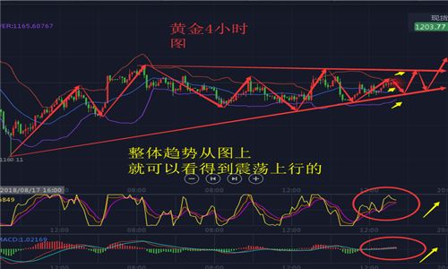 外汇期货股票比特币交易