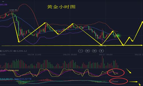 外汇期货股票比特币交易