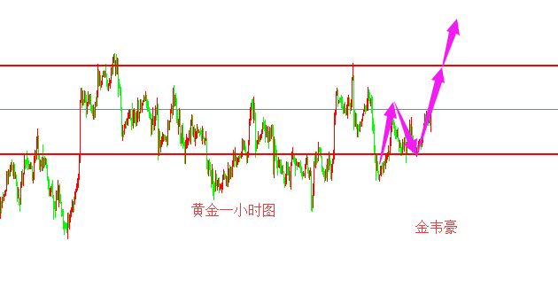 外汇期货股票比特币交易